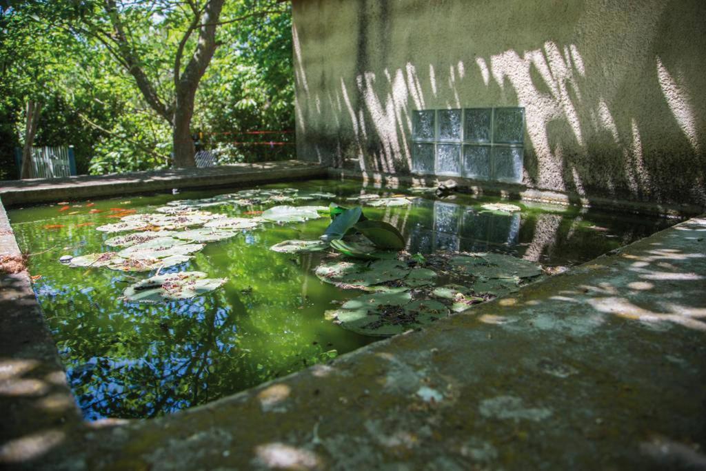 Authentique Mas Provencal Gemenos Villa Kültér fotó